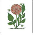 Grand Flowers I by Joyce Drexler Embroidery Designs on a BROTHER Memory Card BMC-JD2