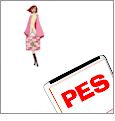 Women of Eve Embroidery Designs by G Studios on a BROTHER Embroidery Card PC828B