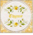 Christinas Herbs Applique Embroidery Designs by Ashley Embroidery on a Multi-Format CD-ROM ASH024