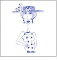Blue Bonnets by Loralie Designs Embroidery Designs on a Multi-Format CD-ROM 630080
