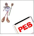 Flurries 2 Great Notions Embroidery Designs on a BROTHER Embroidery Card GC212B-FL2