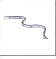 Flexible Ruler - 40 Inch