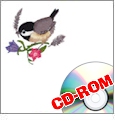 More Chickadees by Valerie Pfeiffer Embroidery Designs by Great Notions on a Multi-Format CD-ROM GC228C-VP6