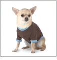 Doggie Ringer T-Shirt Embroidery Blanks For Pets