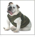 Doggie Tank Top Embroidery Blanks For Pets