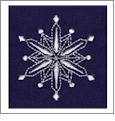 Winter Jewels by Sewing With Nancy Embroidery Designs by Amazing Designs on a Multi-Format CD-ROM AD-ZIE05