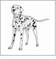 Dog Breeds 2 Embroidery Designs by Amazing Designs on a Multi-Format CD-ROM ADC-103J