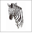 Expedition: Africa Embroidery Designs by Amazing Designs on a Multi-Format CD-ROM ADC-104J