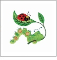 Cute Bugs by Sewing With Nancy Embroidery Designs by Amazing Designs on a Multi-Format CD-ROM ADP-59