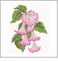 Floral Fantasies Embroidery Designs by Lennie Honcoop for Amazing Designs on a Multi-Format CD-ROM ADP-62J