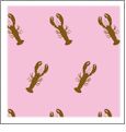 Lobster Grapefruit with Coconut - Kiwi Embroidery Paper - One 8.5in x 11in Sheet