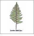 Joyce Drexler Jumbo Fabulous Ferns Embroidery Designs on a Multi-Format CD-ROM