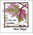 Pressed Leaves by Joyce Drexler Embroidery Designs on a Multi-Format CD-ROM 110065