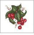 Fruit Embroidery Designs by Susan Schmitz on a BROTHER Embroidery Card BMC-SP3