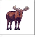 Northwest Wonders Embroidery Designs by Amazing Designs on a Multi-Format CD-ROM ADC-122