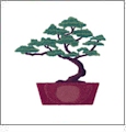 Expedition Asia Embroidery Designs by Amazing Designs on a Multi-Format CD-ROM ADC-152J
