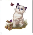 Pets 2 Embroidery Designs by Giordano Studios for Amazing Designs on a Multi-Format CD-ROM ADP-76J