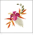 Island Booms Embroidery Designs by Nancy Zieman for Amazing Designs on a Multi-Format CD-ROM ADP-78