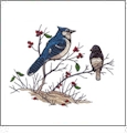 Perched Birds Embroidery Designs by Giordano Studios for Amazing Designs on a Multi-Format CD-ROM ADP-77J