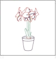 Botanical Outlines 2 Embroidery Designs by Amazing Designs on a Multi-Format CD-ROM ADC-171