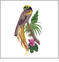 Tropical Birds and Blooms Embroidery Designs by Nancy Zieman for Amazing Designs on a Multi-Format CD-ROM ADP-86