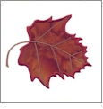 Applique Leaves Embroidery Designs by Amazing Designs on a Multi-Format CD-ROM ADC-179
