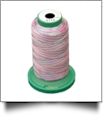 V113 Medley Polyester Embroidery Thread 1000 Meter Spool