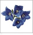Detailed Floral Amazing Designs ADC-1 Embroidery Designs on CD