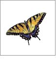 Butterlies 1 Amazing Designs ADC-6 Embroidery Designs on CD