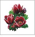Floral Bouquet 1 Amazing Designs ADP-4J Jumbo Embroidery Designs on CD