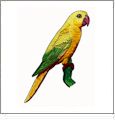 Colorful Birds 1 Amazing Designs ADC-19J Jumbo Embroidery Designs on CD