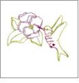 Abstract Florals by Joyce Drexler and Cactus Punch SIG107 Embroidery Designs on CD