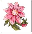 Painted Petals Cactus Punch SE005 Embroidery Designs on CD