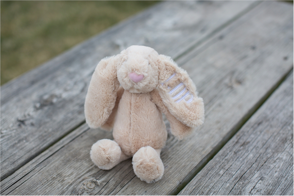 long eared plush bunny