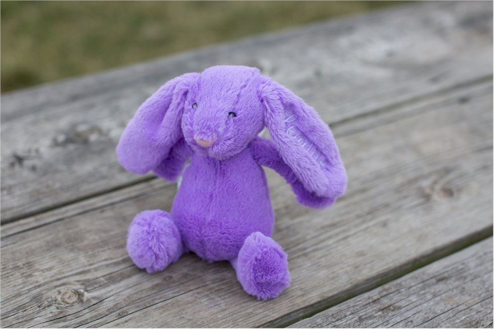 long eared plush bunny