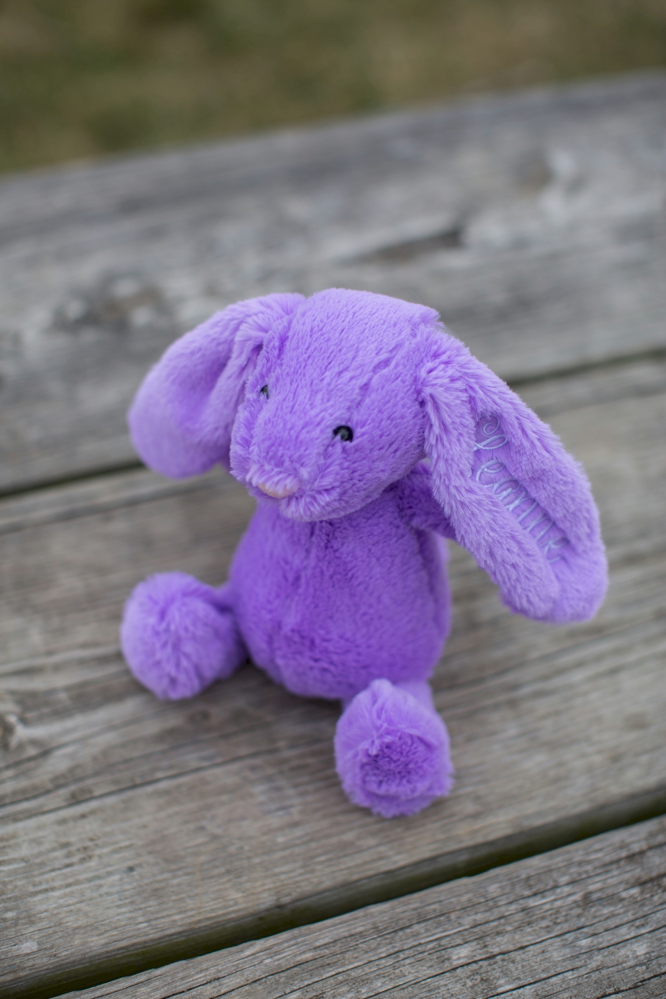 long eared plush bunny