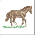 Horse and Western by Gunold Embroidery Designs on CD 970270