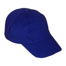 Bearwear Baseball Cap - Royal Blue