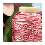 Floriani 40wt. Variegated Rayon Thread - 1000m Spools