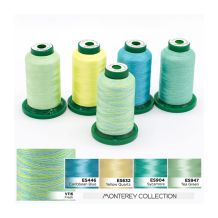 ColorPlay Exquisite + Medley 5-Spool Thread Assortment from DIME Designs in Machine Embroidery - Monterey Collection