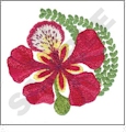 Exotic Flowers Embroidery Designs by Dakota Collectibles on a CD-ROM 970259