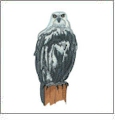 Jumbo Birds of Prey 2 Embroidery Designs by Amazing Designs on a Multi-Format CD-ROM ADC5040