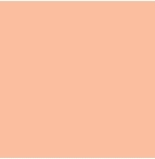Solid Peach - Kiwi Embroidery Paper - One 8.5in x 11in Sheet