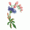 Valerie Pfeiffer Hummingbirds Embroidery Designs on a Multi-Format CD-ROM CMC-VP3