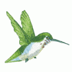 Valerie Pfeiffer Hummingbirds Embroidery Designs on a Multi-Format CD-ROM CMC-VP3