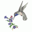 Valerie Pfeiffer Hummingbirds Embroidery Designs on a Multi-Format CD-ROM CMC-VP3