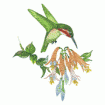 Valerie Pfeiffer Hummingbirds Embroidery Designs on a Multi-Format CD-ROM CMC-VP3