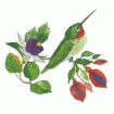 Valerie Pfeiffer Hummingbirds Embroidery Designs on a Multi-Format CD-ROM CMC-VP3