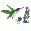 Valerie Pfeiffer Hummingbirds Embroidery Designs on a Multi-Format CD-ROM CMC-VP3