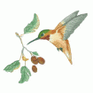 Valerie Pfeiffer Hummingbirds Embroidery Designs on a Multi-Format CD-ROM CMC-VP3